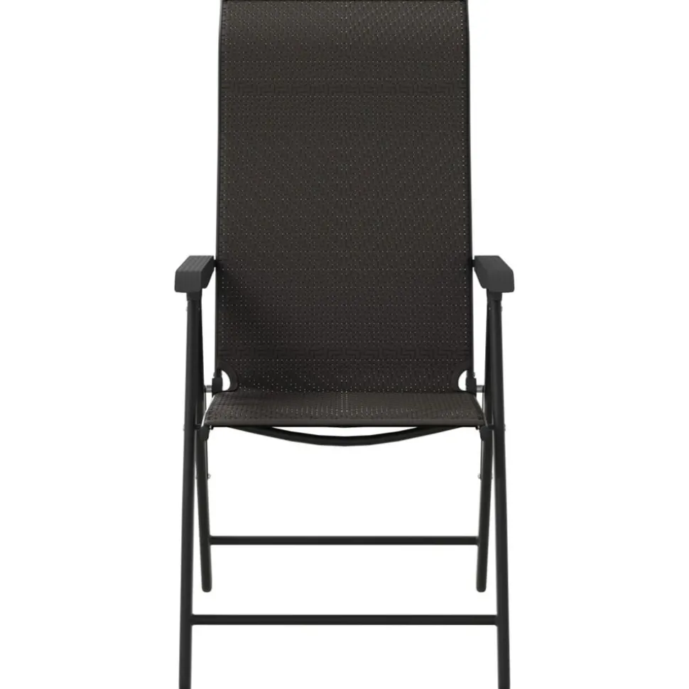 MAISON EXCLUSIVE - Chaises pliables jardin lot de 2 couleur café noir poly rotin