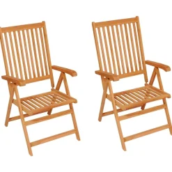 MAISON EXCLUSIVE - Chaises de jardin lot de 2 et coussins bleu royal teck massif