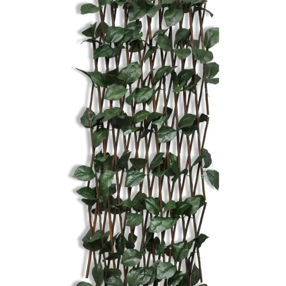 MAISON EXCLUSIVE - Clôture en treillis de saule 5 pcs 180x90 cm