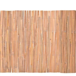 MAISON EXCLUSIVE - Clôtures en bambou 2 pcs 100x400 cm
