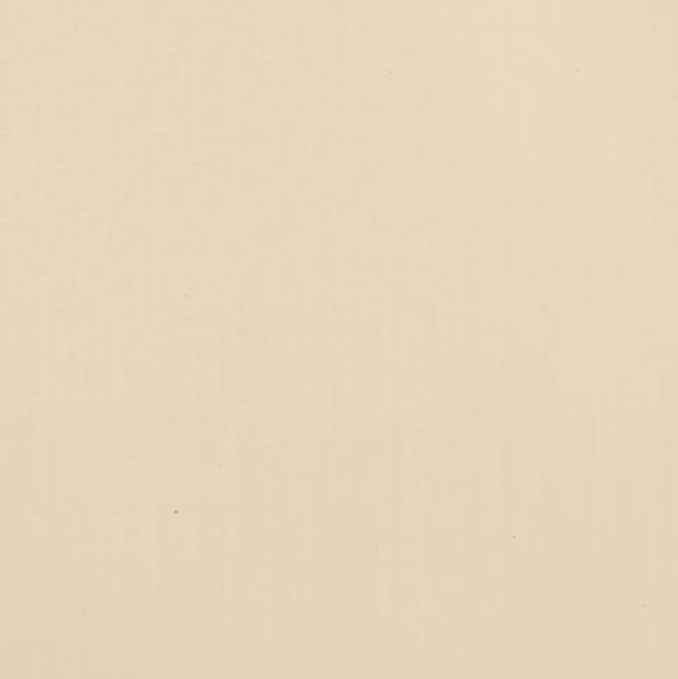 MAISON EXCLUSIVE - Écran d'intimité de jardin pvc 35x0,19 m crème