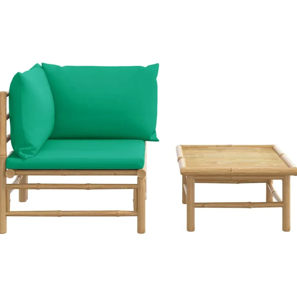 MAISON EXCLUSIVE - Salon de jardin 2 pcs avec coussins vert bambou