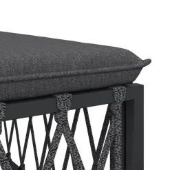 MAISON EXCLUSIVE - Salon de jardin avec coussins 2 pcs anthracite acier