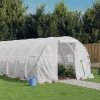 MAISON EXCLUSIVE - Serre avec cadre en acier blanc 30 m² 10x3x2 m