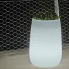 NEWGARDEN - Pot lumineux camelia high lumière blanche froide par câble ø39x59cm