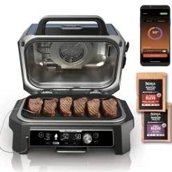 NINJA - Barbecue électrique et fumoir Woodfire Pro Connect XL OG901EU