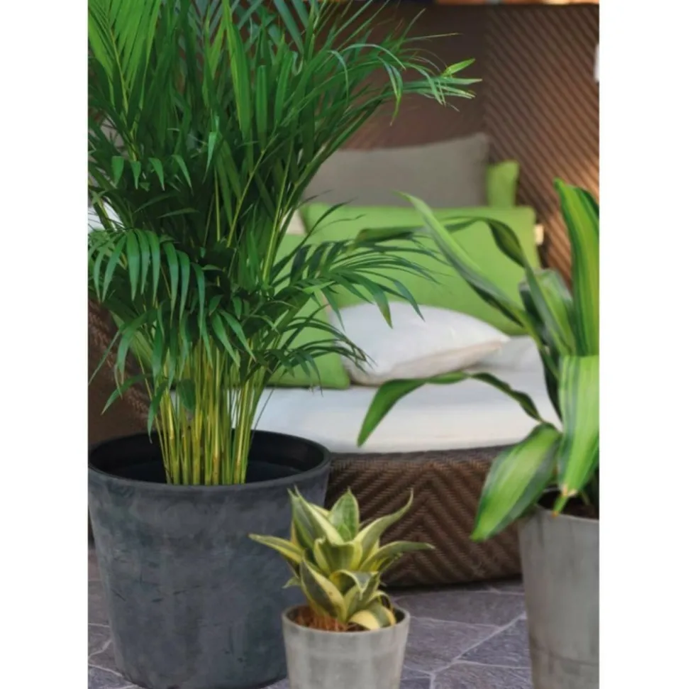 NOVAVITA - Pot de fleurs rond en plastique recyclé - noir
