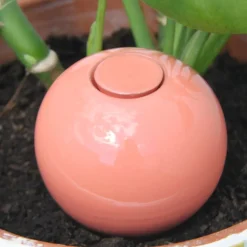 Olla à planter, réserve d'eau pour irrigation, coloris pêche - 40cl