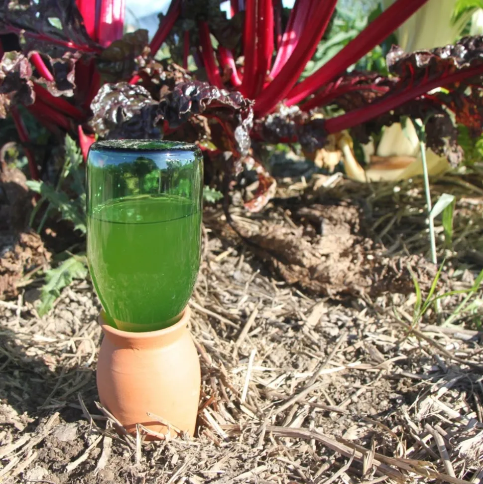 Olla cône à planter, réserve d'eau pour irrigation - 150cl