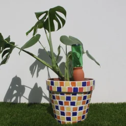 Olla cône à planter, réserve d'eau pour irrigation - 150cl