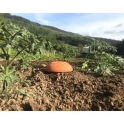 OLLAS ORIGIN - Céramique d'irrigation Ollas Jamet Origin n°7 - 20L