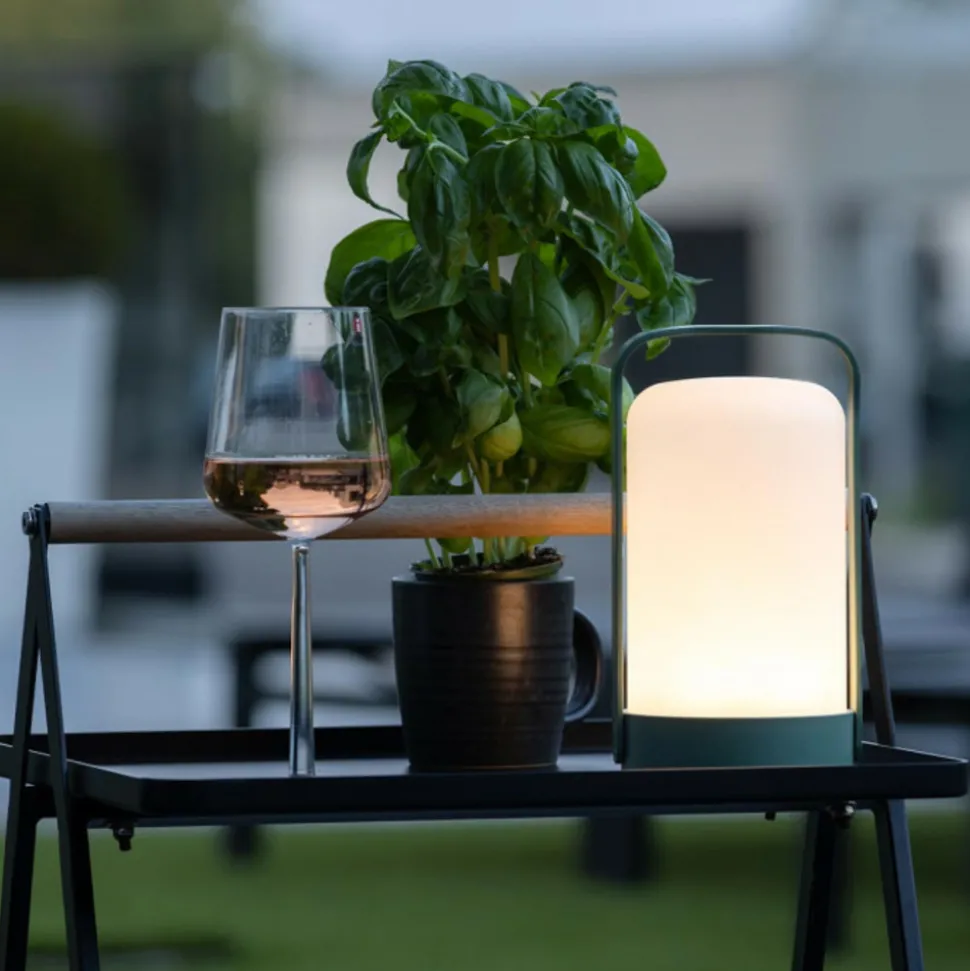 PARIS PRIX - Lampe à poser d'extérieur led "fern" 22cm vert
