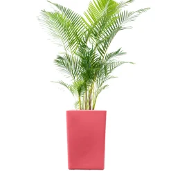 PLAST'UP ROTOMOULAGE - Pot de fleur carré suerte 120l