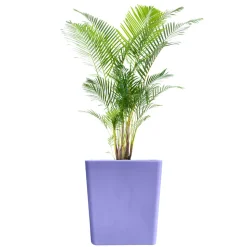 PLAST'UP ROTOMOULAGE - Pot de fleurs cubio h 50cm