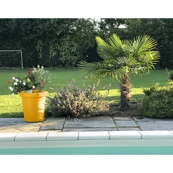 PLAST&AMP;AMP;#039;UP ROTOMOULAGE - Pot de fleurs rond xxl delight 75l
