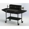 SAVY - Barbecue Acier avec table