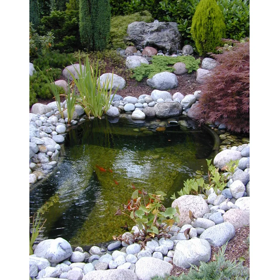 UBBINK - Bassin Start 500 litres