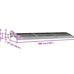 VIDAXL - Auvent de porte gris 300x100 cm polycarbonate