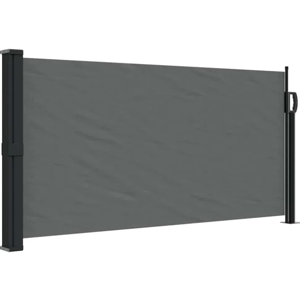 VIDAXL - Auvent latéral rétractable anthracite 100x300 cm