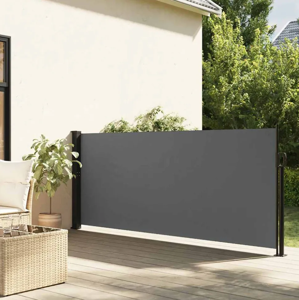 VIDAXL - Auvent latéral rétractable anthracite 100x300 cm