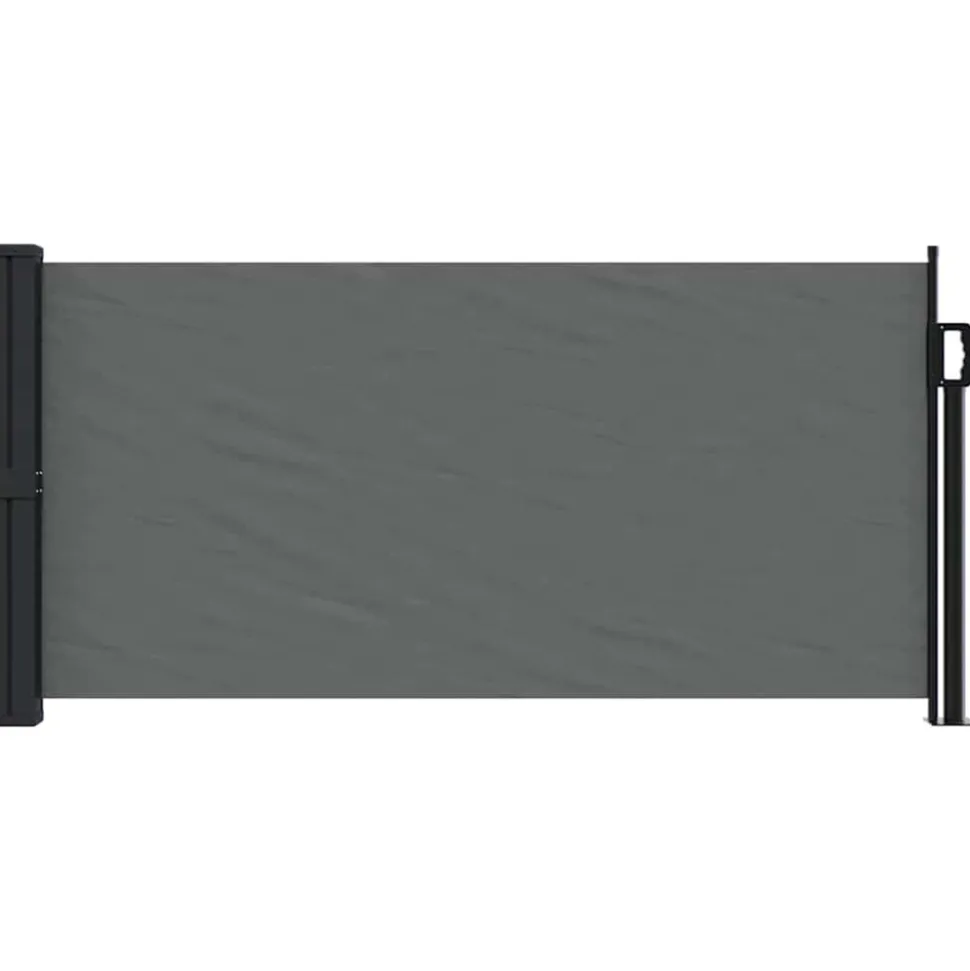 VIDAXL - Auvent latéral rétractable anthracite 100x300 cm