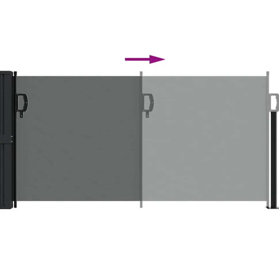 VIDAXL - Auvent latéral rétractable anthracite 100x300 cm