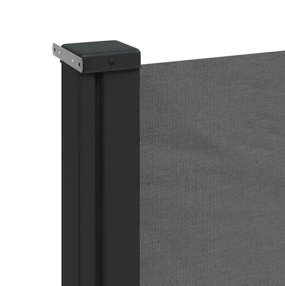 VIDAXL - Auvent latéral rétractable anthracite 100x300 cm