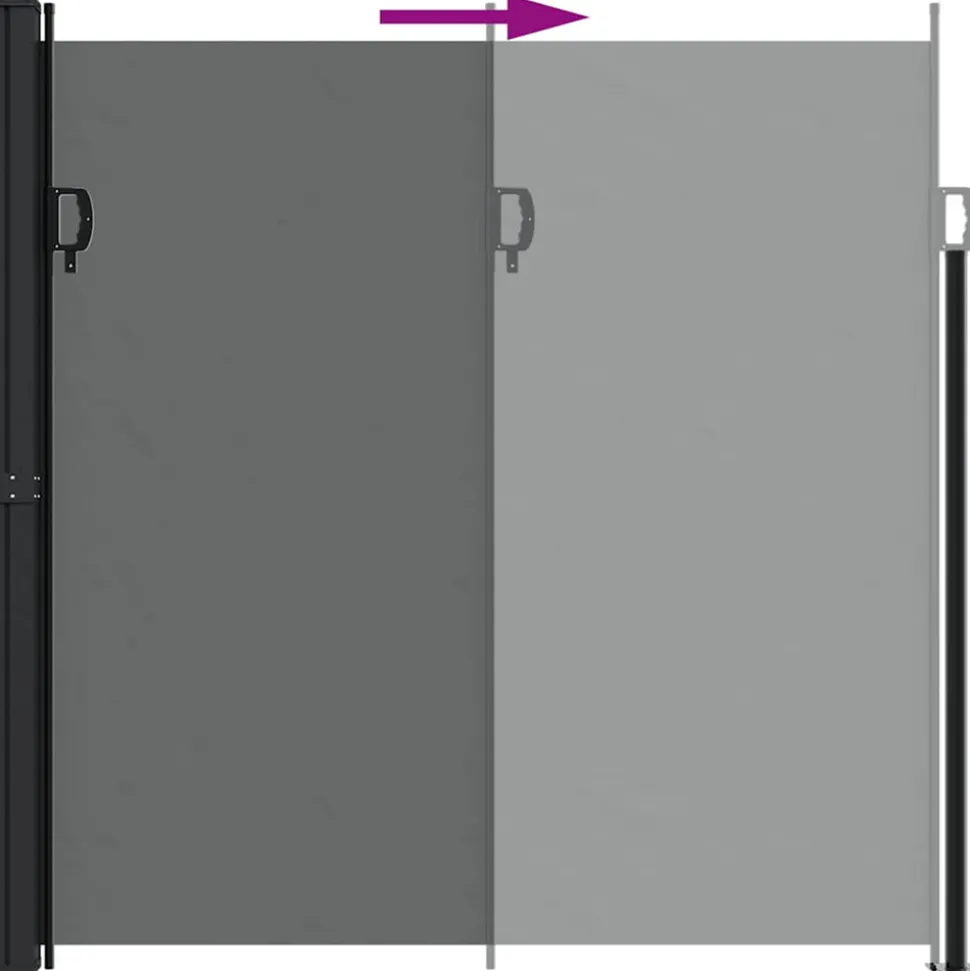 VIDAXL - Auvent latéral rétractable anthracite 200x300 cm