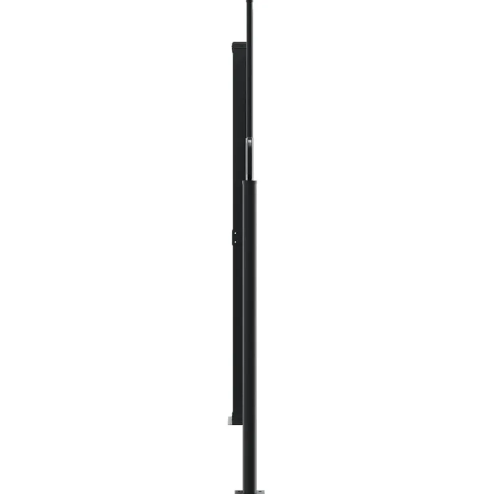VIDAXL - Auvent latéral rétractable anthracite 160x1200 cm