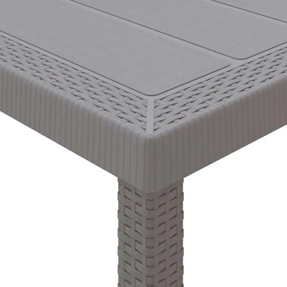 VIDAXL - Ensemble de salle à manger pour jardin 11 pcs gris clair