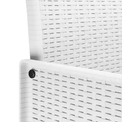 VIDAXL - Ensemble de salle à manger pour jardin avec coussin 11 pcs