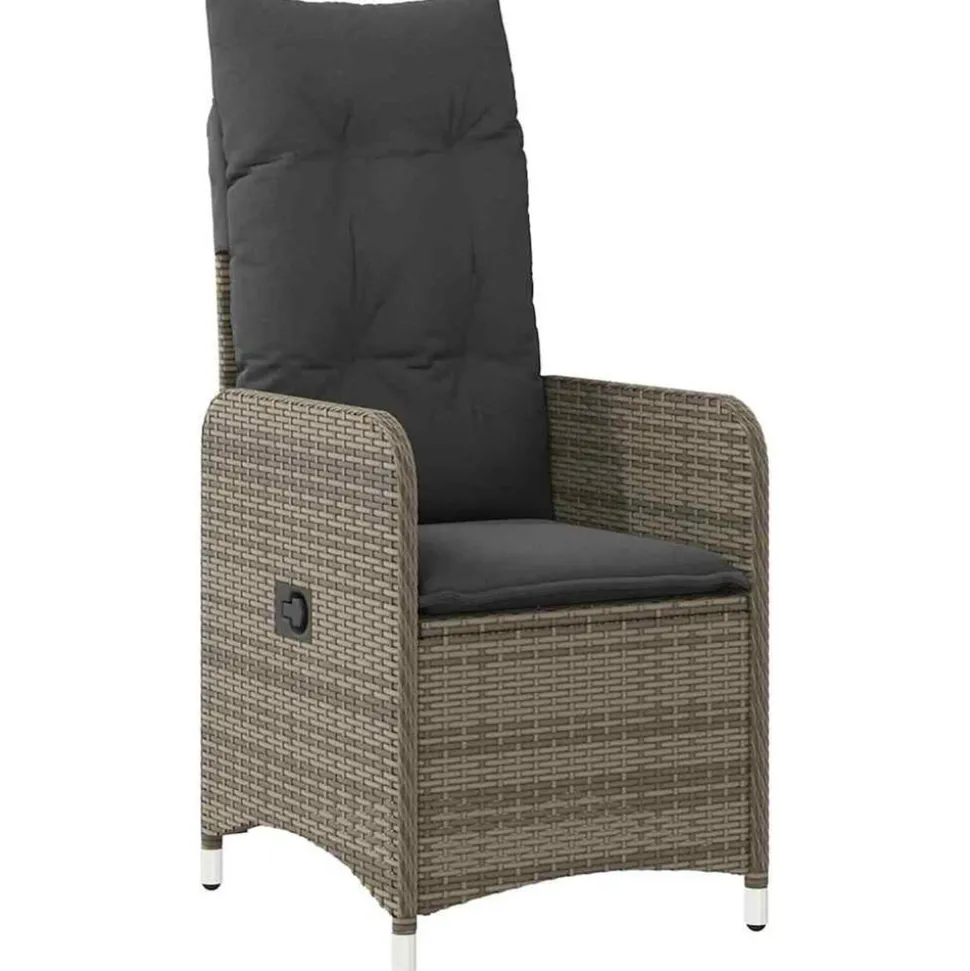 VIDAXL - Ensemble de salle à manger pour jardin 5 pcs gris poly rotin