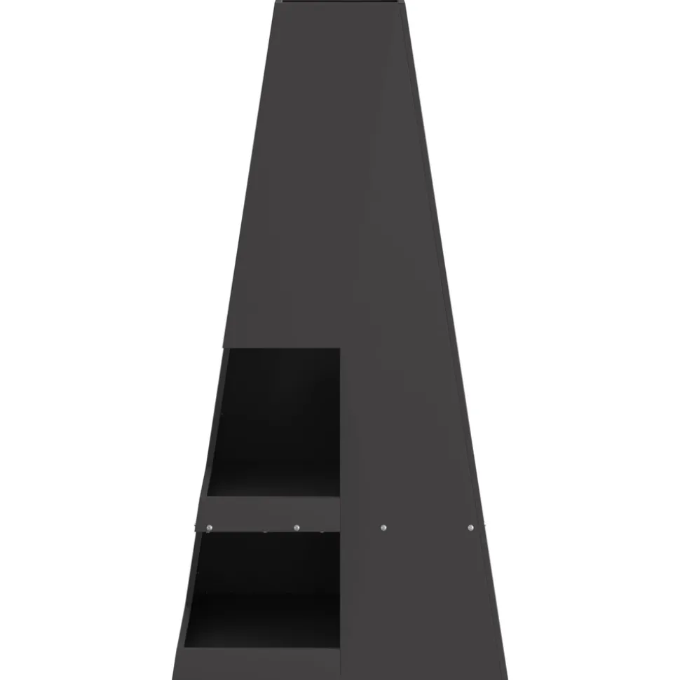 VIDAXL - Foyer avec rangement pour bûches noir 50x50x100 cm acier
