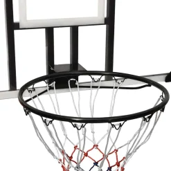 VIDAXL - Panneau de basket-ball transparent 106x69x3 cm polycarbonate