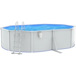 VIDAXL - Piscine avec échelle de sécurité 490x360x120 cm