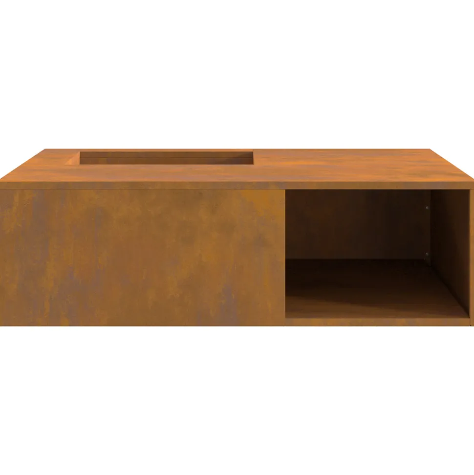 VIDAXL - Vitrexl foyer avec rangement à bûches 100x100x30 cm acier résistant aux intempéries